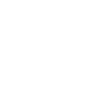 Limones Digital Coin